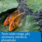 Api Pond Care Pond  Freshwater Master Test Kit Api 34