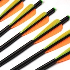 20 Inch Archery Hunting Crossbow Bolts 8mm Fiberglass Arrows Flat Nocks   Quiver