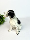 Vintage English Springer Spaniel Dog Ceramic Figurine 6   