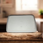 Antique German Porcelain Tray With Hand-painted Pink Roses And Floral Motifs