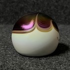 Stuart Abelman Art Glass Paperweight Iridescent Signed 2-1 8  Tall 1992   Read