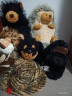 Ganz Webkinz Lot Of 15 Animal Plush Toys No Codes Dog Dino Snake Eagle Bear Hog