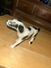 Vintage Pointer Hunting Dog Porcelain Figurine White And Black