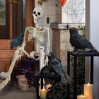 Gcnbcnb Halloween Skeleton Decorations36  Posable Human Skeleton Decorations    