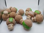 Lot Of 12 Patron Corks 750ml Crafts Mushroom