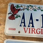 Virginia License Plate Lot Cardinal Mountains Variety Samples Va Tag Set Of 2