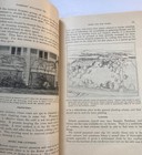 Vintage 1925 Usda Department Of Agriculture Farmers Bulletin Roses For The Home