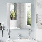 Medicine Cabinet  Bathroom Mirror Cabinet With Doors And Shelves  White
