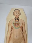 Vintage Fold Out Anatomy Cards Male Female