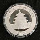 2025 China 10 Yuan 30g Panda Silver Coin