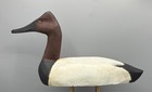 Canvasback By  signed  Tom Humberstone    upstate Ny    Vintage Decoy Duck