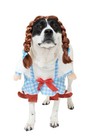 Vibrant Life Size M  20-50 Lbs  Gingham Girl Pet Costume Halloween Dog  cat