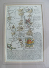 Antique Double Sided Road Map C 1720 Minehead Tiverton Owen   Bowen Pgs 169 170