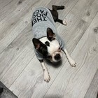 Pet Dog Hoodie The Dog Face Coat Warm Dog Vest Small Large Puppy Apparel Jacket