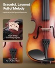 Violin 3 4 Size Fiddle Set For Adult Beginners With Case Rosin Brown
