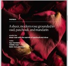 Plant-powered Natural Luxury Deodorant For Women   Men   Neutralizes Odors  S   