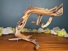 16    Manzanita Driftwood Branch  Aquarium Terrarium Aquascaping Decor  Home Decor