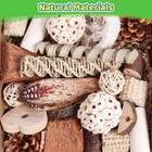 Bird Toys Parrot Toys Natural Bird Foraging Box Foot For Parakeets cockatiels   