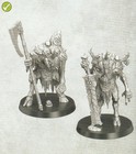 Cankerborn Scions Of The Plaguefather Warhammer Darkwater Aos - Nos  x2 