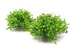 Aquarium Decorations Fish Tank Artificial Green Water Plants Made Of Style-3