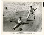 Fantasy Films Of The 1960s Lot Of  10  Original Stills   Cards