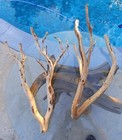 Set Of 2 Large Driftwood Manzanita Aquascape Aquarium Terariam 