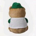 Singapore Airlines Stuffed Teddy Bear Toy Boy Signature Collectible First Class