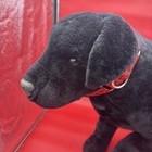 Melissa   Doug Large Black Lab Plush Stuffed Animal Realistic Dog Labrador 30   