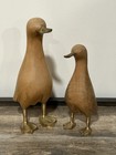 Crate   Barrel Wood Mallard Duck Figurines W brass Beak   Web Feet   10      8    H