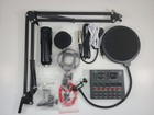 Professional Condenser Microphone Audio Reference Companding Usb Studio Kit