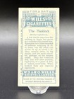 1910 Wills   s Cigarettes Fish   Bait Card  42 The Haddock     Series Of 50