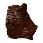 Nevada Dead Camel Jasper Slab   104 Grams   Rough Agate Mineral Rock Cab