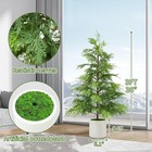 2 Pack 3ft Artificial Cedar Topiary Trees For Front Porch Decor  Artificial