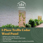 All Things Cedar 84 x33  Outdoor Single Trellis Handcrafted For Climbing Plants