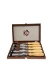 Narex 853600 Richter 5-piece Chisel Set