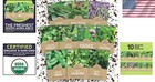 2025 Organic Culinary Herb Seeds - 10 Pack Variety For Every Garden Enthusiast
