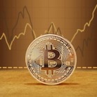 10pcs Physical Bitcoin Coins Commemorative Gold Plated Bit Coin Collectible Us