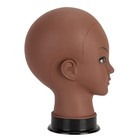 Bald Mannequin Head 15 75 In Height 21 26 In Circumference - For Wig Making