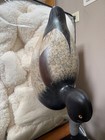 Bluebill Drake Decoy By Mason 2nd Gen  Solid Wood  Glass Eyes  Factory Made 80s