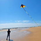 Gaint Kite For Adults Easy To Fly  9ft Huge Delta Kite Come With 98ft Tail