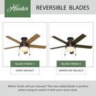 Hunter Fan 46inch Premier Bronze Indoor Ceiling Fan Wth Light And Pull Chain