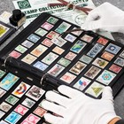 20 Sheets Stamp Pages Collector Stamp Collecting Album Binder Standard 9 Hole   