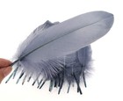 Dxeud Colorful Goose Feathers 100pcs pack   6-8 Inch   gray  Gray