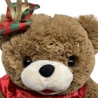 Dan Dee Holiday Time Snowflake Teddy Bear Plush Christmas 2018 Plaid Dress 20 