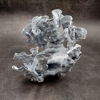 Blue Ridge Coral Cluster Heliopora Coerulea  1 Coral 7 5l X 5 5d X 8h Inches 