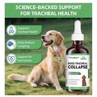Vivaelixir Dogs Tracheal Collapse Treatment Liquid Helps Treating Dog Cough
