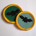 Girl Scout Junior Caving Badge Council Own Patch Explore Cave Bat Spelunking Ky