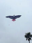 71   Bald Eagle Kite For Kids Adults Single Line Animal Kite For Outdoor Fun