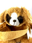 Dan Dee Collector s Choice Brown Puppy Plush Easter Basket Stuffed Animal W Tags