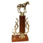 Vintage 1983 Horse Trophy Vintage Bluestem Quarterhorse 1982 Mares Kansas